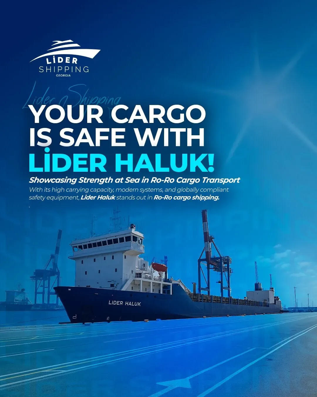 Lider Shipping Georgia Rize sosyal medya referansı (Post)
